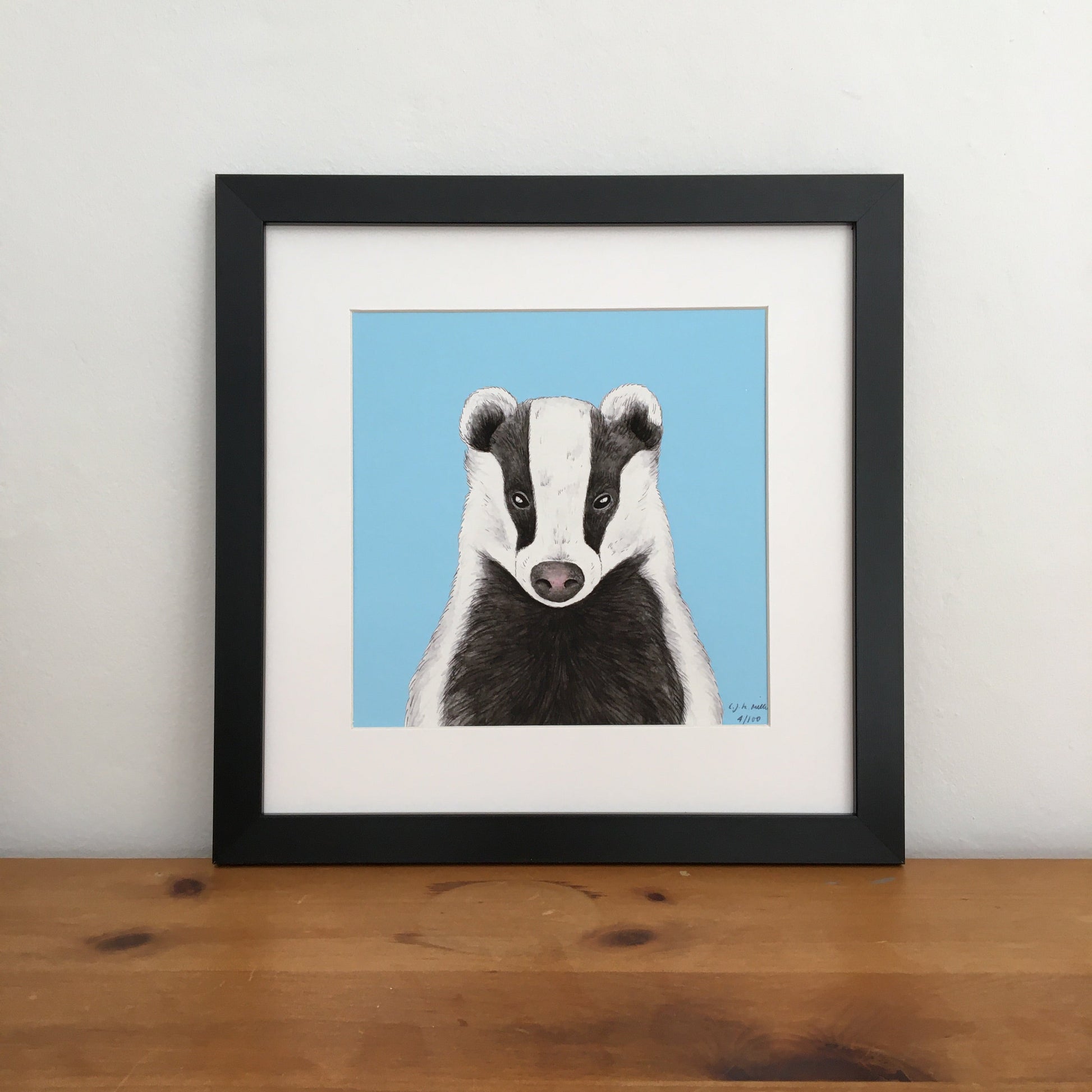 Badger illustration print - square black frame