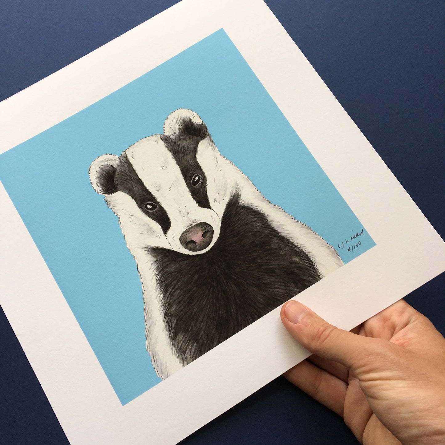Signed and numbered badger illustration print