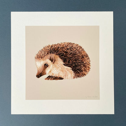 Hedgehog Print - Malt