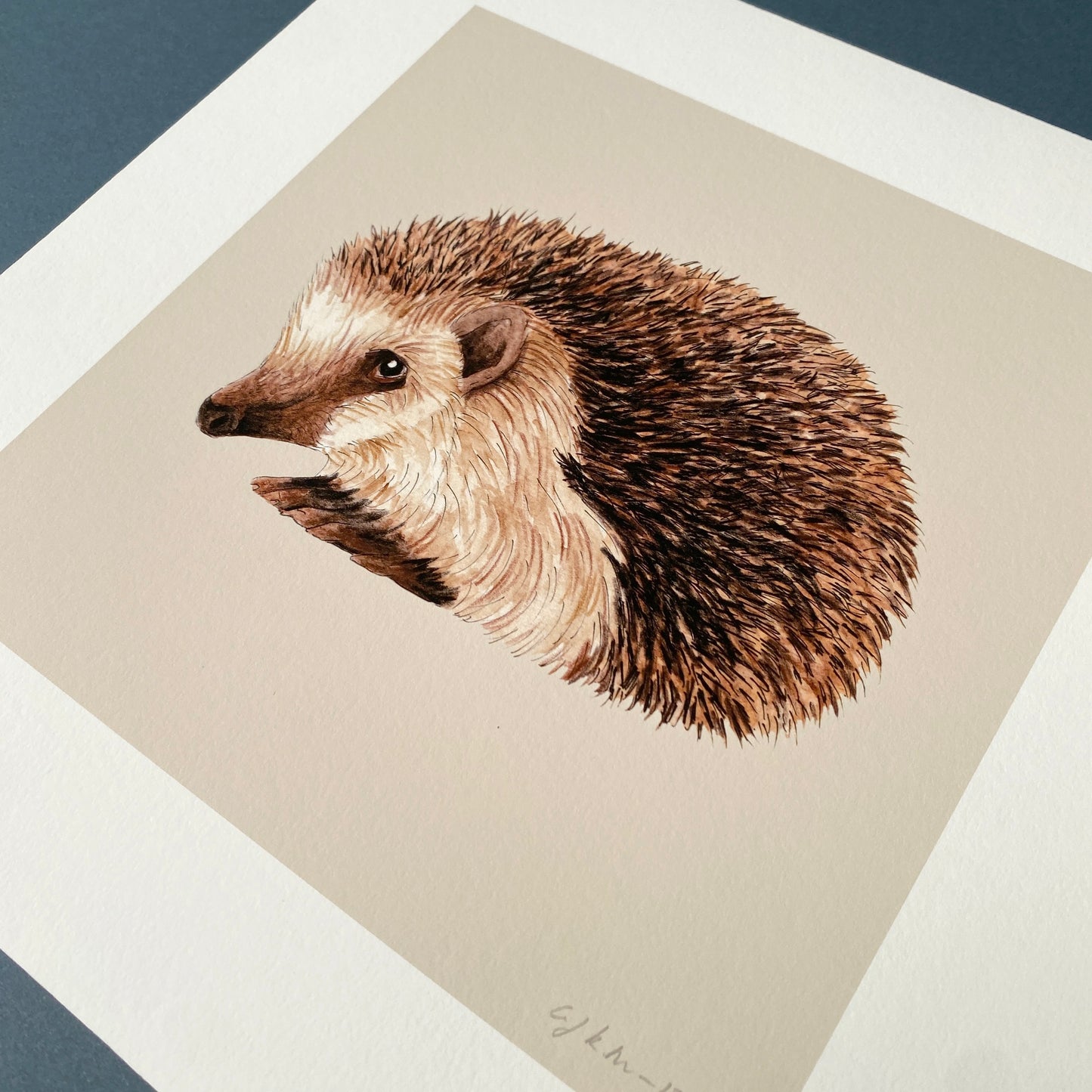 Hedgehog Print - Malt