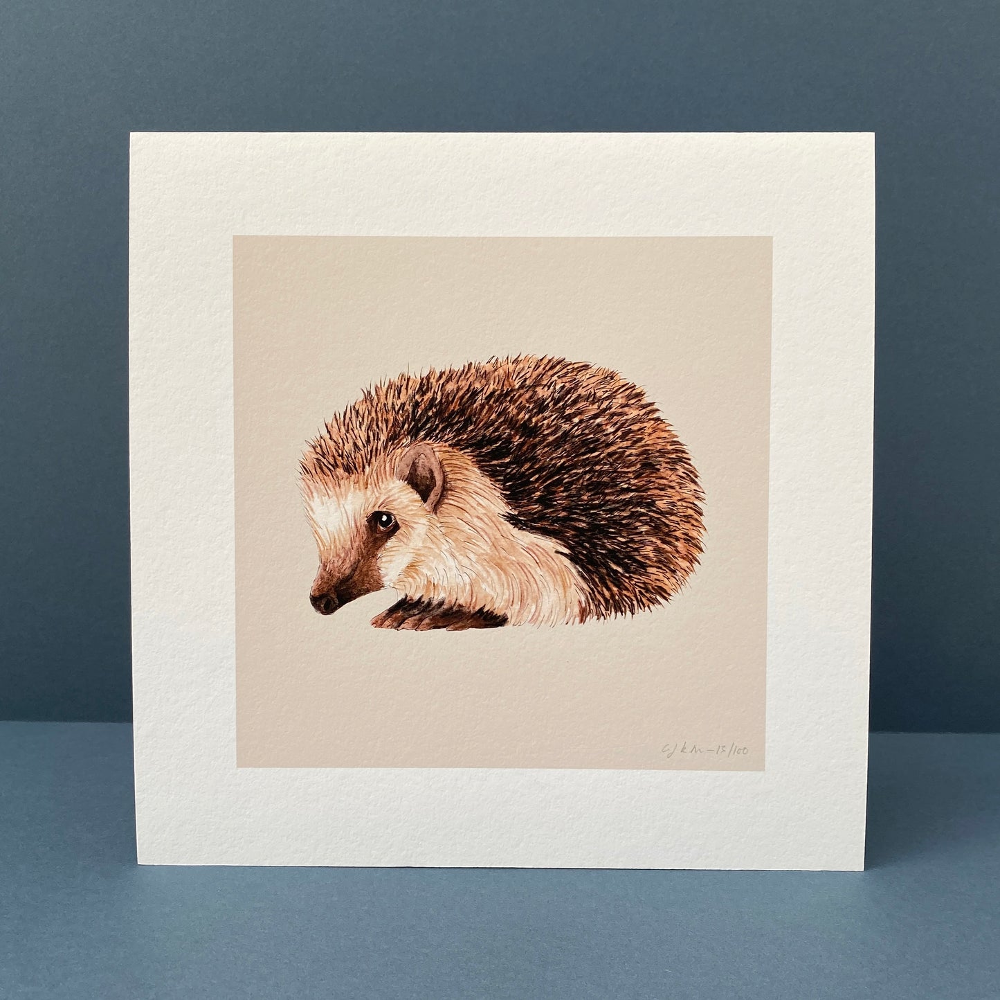 Hedgehog Print - Malt