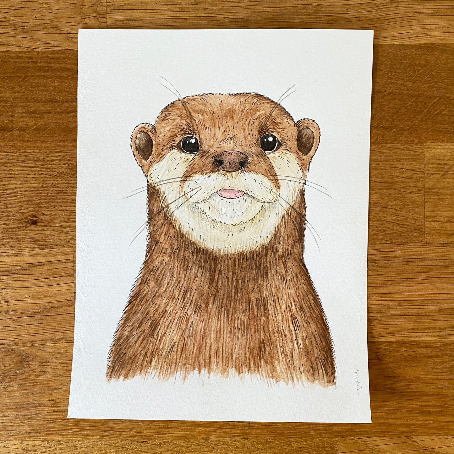 Otter Print