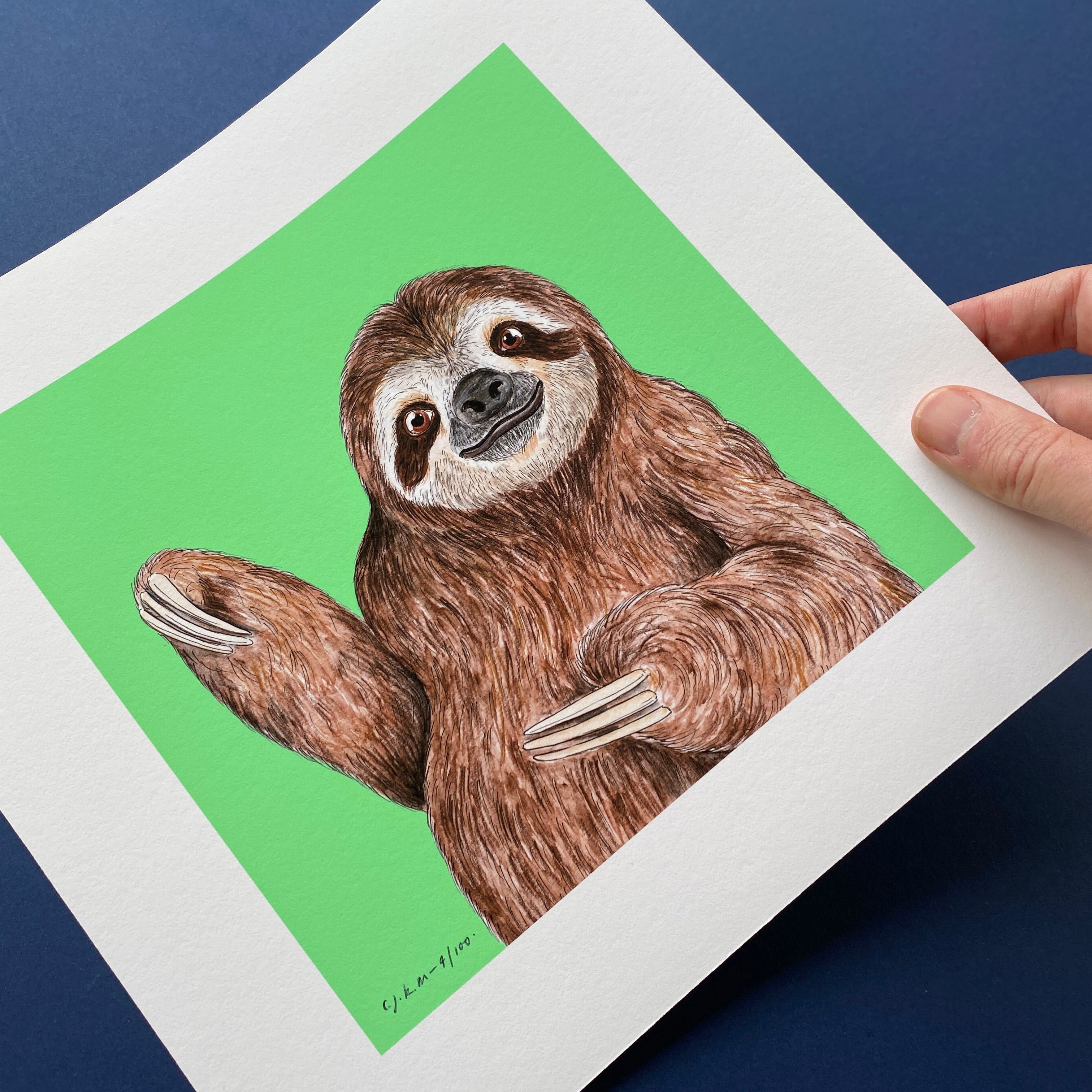 How to Draw a Sloth – Emily Drawing