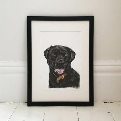 Black labrador  pet portrait, fine liner and watercolour