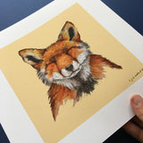 Fox illustration print, unframed