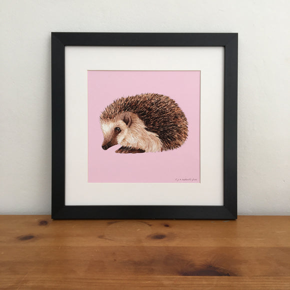 Hedgehog art print in square black frame