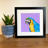 Blue Macaw Print