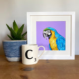 Blue Macaw Print