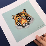 Tiger face illustration giclee print loose